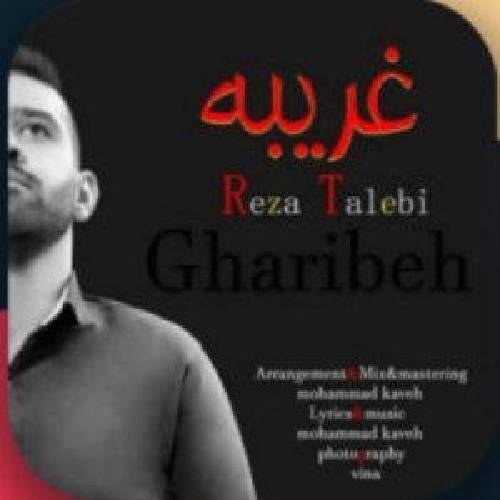 رضا طالبی غریبه